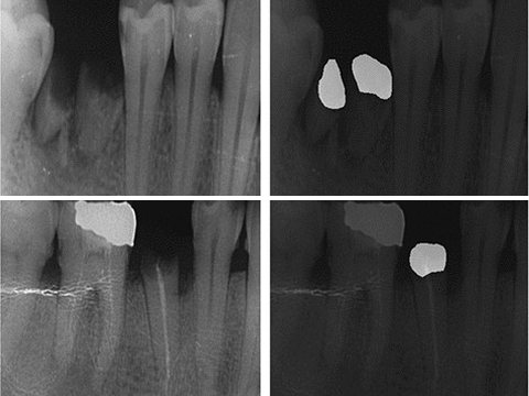 dental.jpg